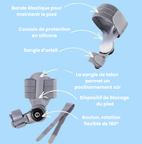 HalluxFree™ - Votre Correcteur De Confiance